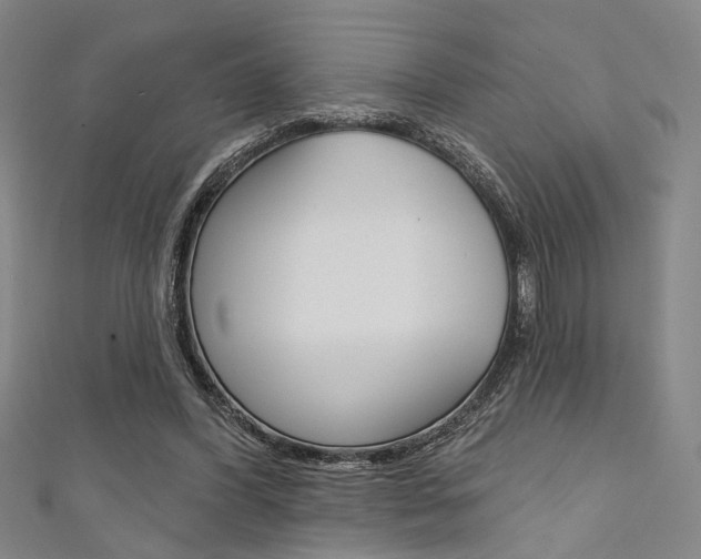 X0000111640396200907171042