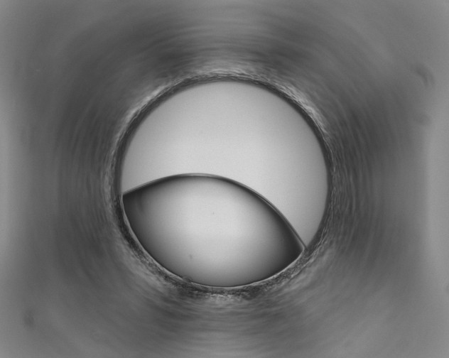 X0000111640399200907171042