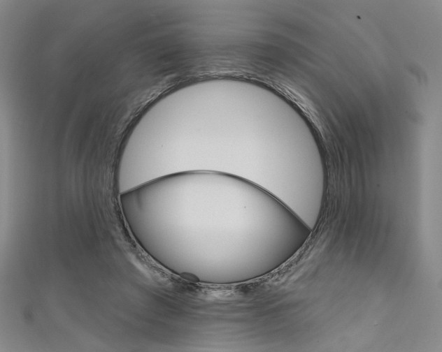 X0000111640401200907171042