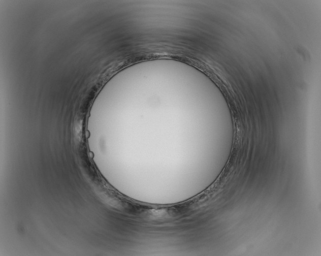 X0000111640406200907171042