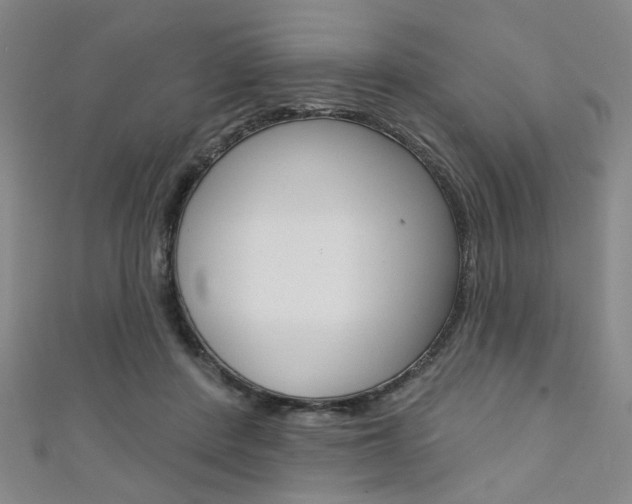 X0000111640408200907171042