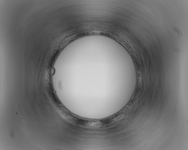 X0000111640410200907171042