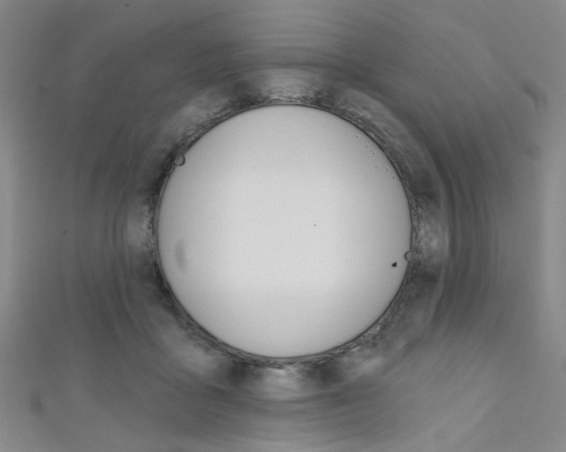 X0000111640411200907171042