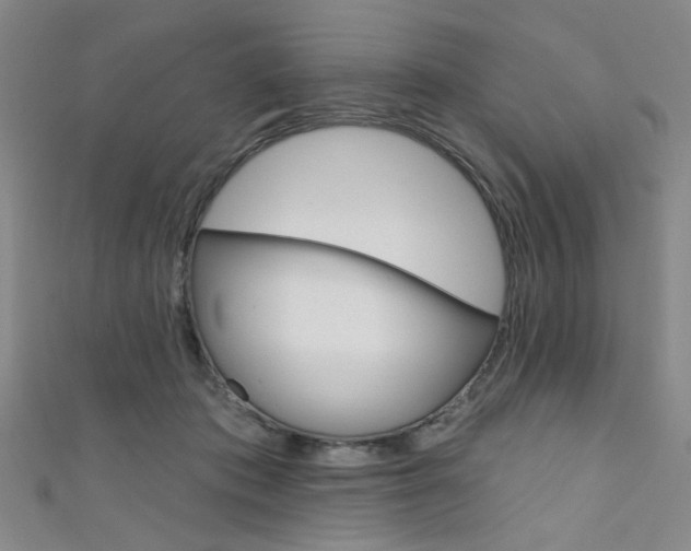 X0000111640413200907171042