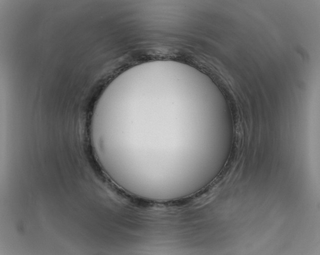X0000111640416200907171042
