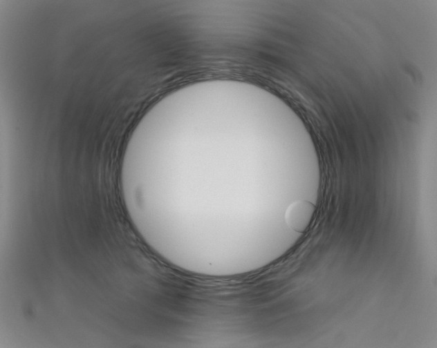 X0000111640417200907171042