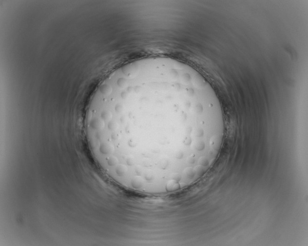 X0000111640418200907171042
