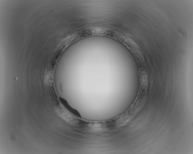 X0000111640419200907171042