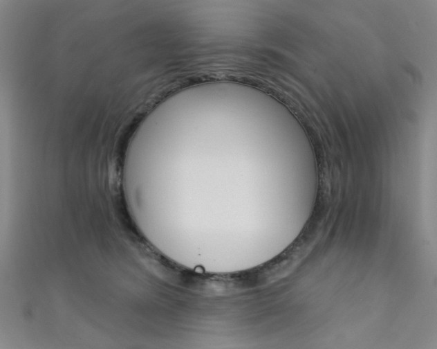 X0000111640420200907171042