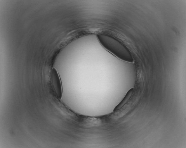 X0000111640421200907171042