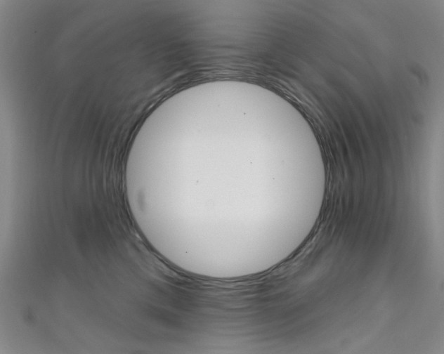 X0000111640425200907171042