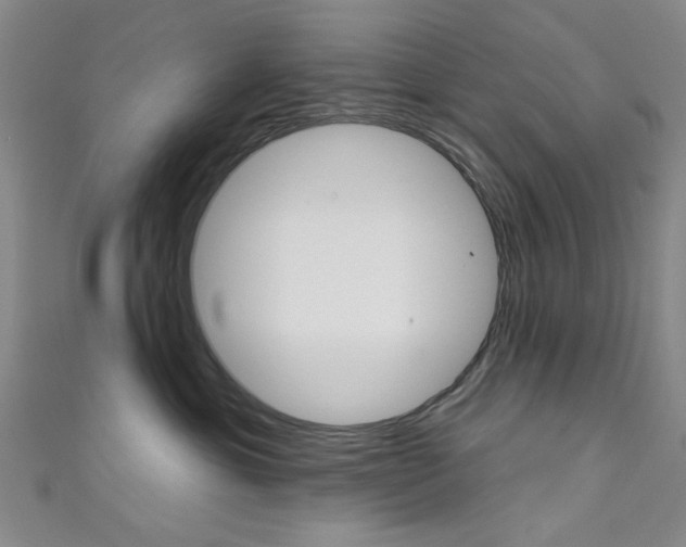 X0000111640429200907171042