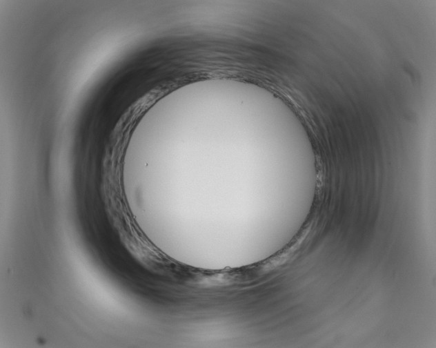 X0000111640430200907171042