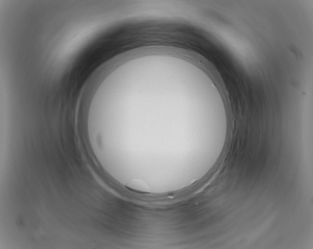 X0000111640431200907171042