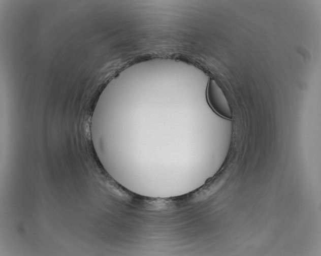 X0000111640432200907171042