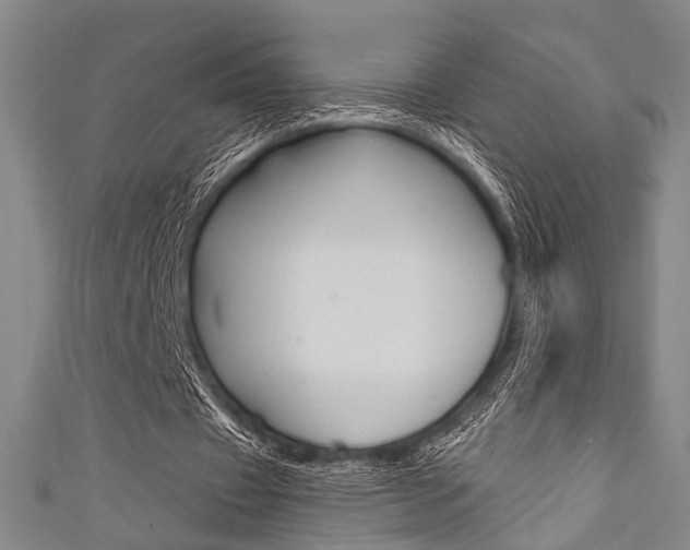 X0000111640433200907171041