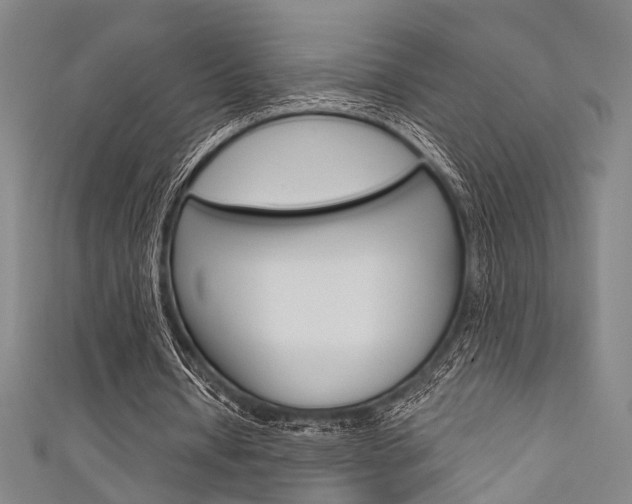X0000111640434200907171041