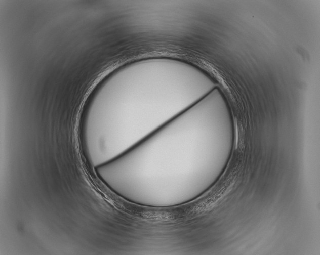 X0000111640435200907171041