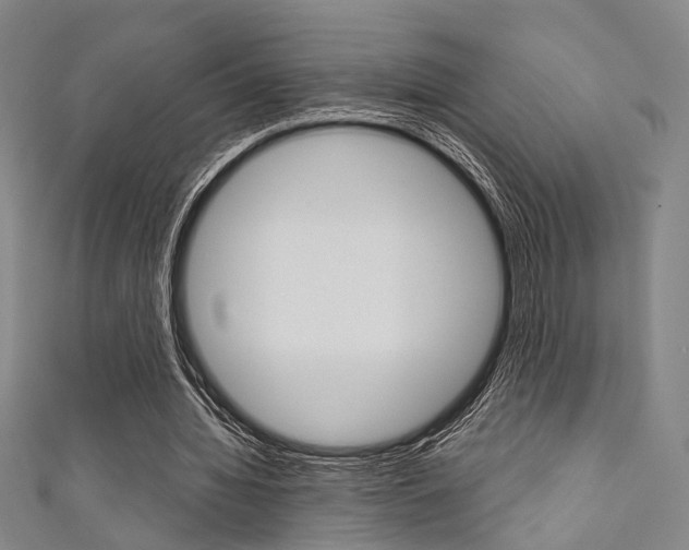 X0000111640436200907171041