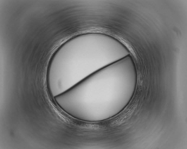 X0000111640437200907171041