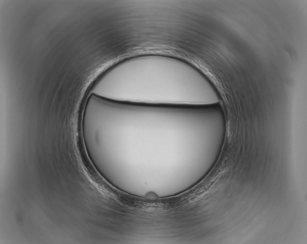 X0000111640438200907171041