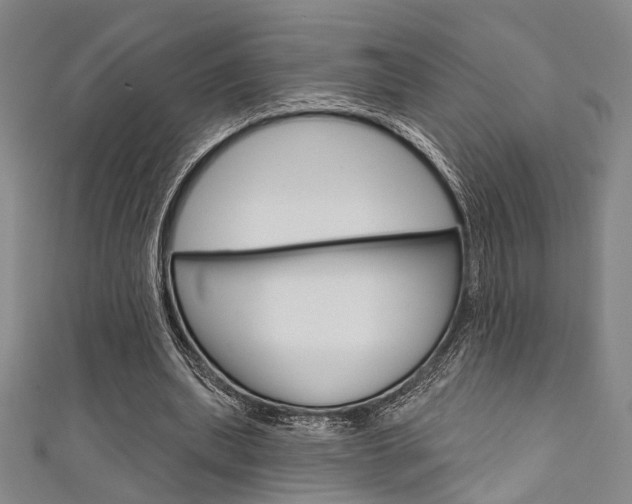 X0000111640439200907171041