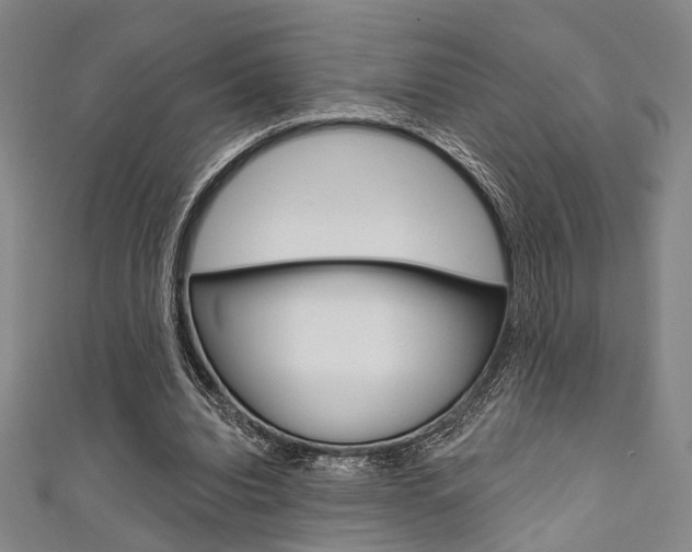X0000111640440200907171041