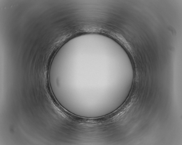 X0000111640441200907171041