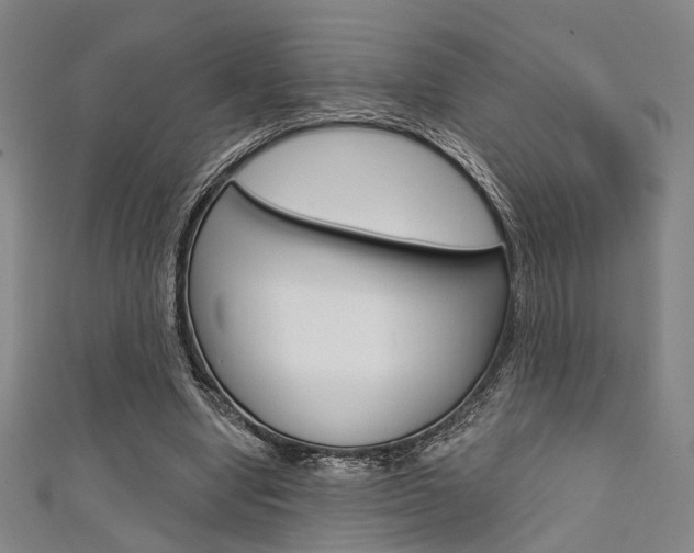 X0000111640442200907171041