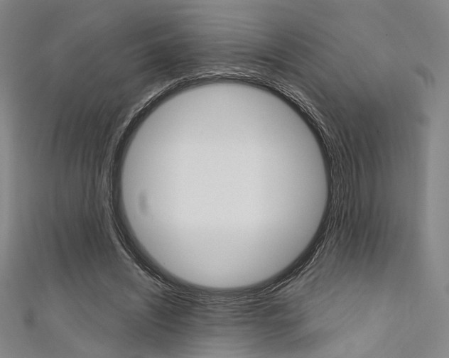 X0000111640444200907171041