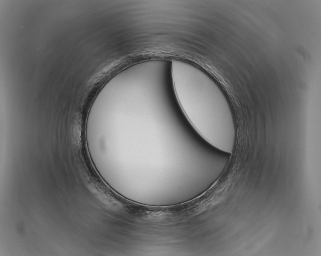 X0000111640446200907171041