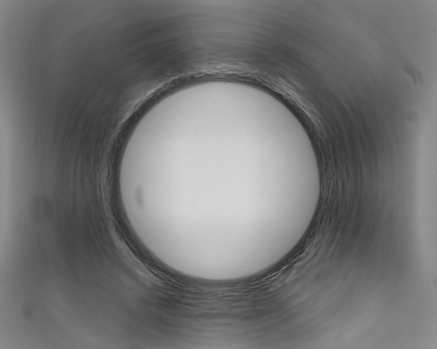 X0000111640448200907171041