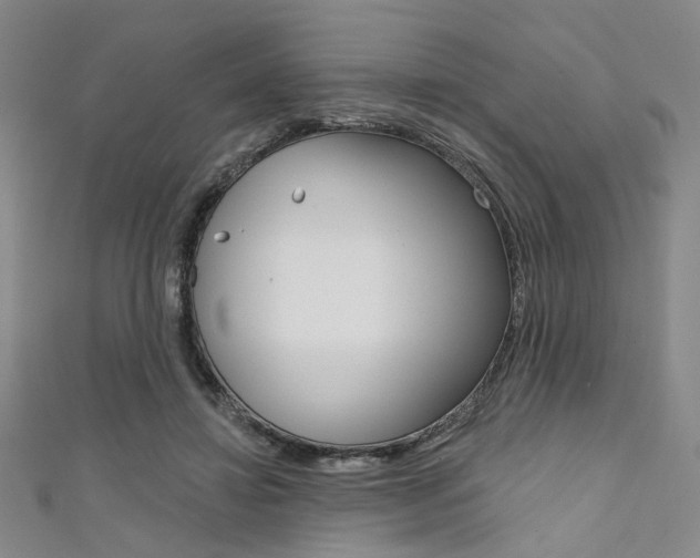 X0000111640452200907171041