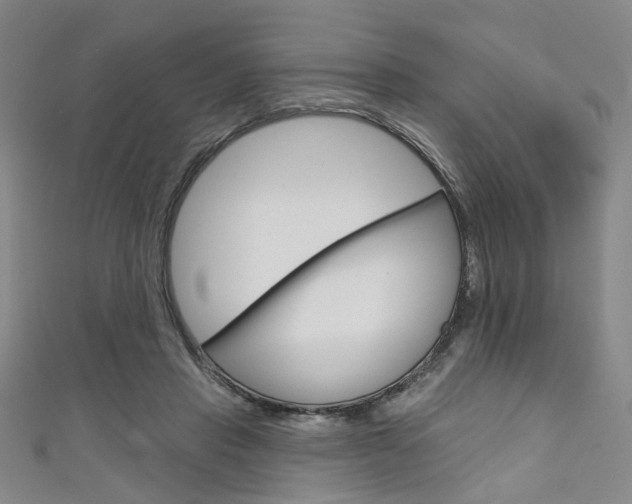 X0000111640453200907171041
