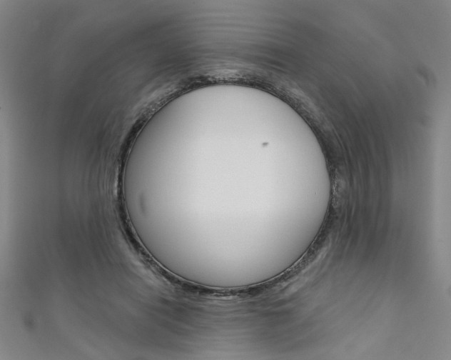 X0000111640454200907171041
