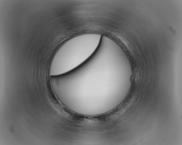 X0000111640455200907171041