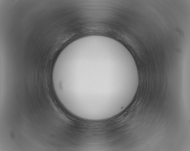X0000111640456200907171042