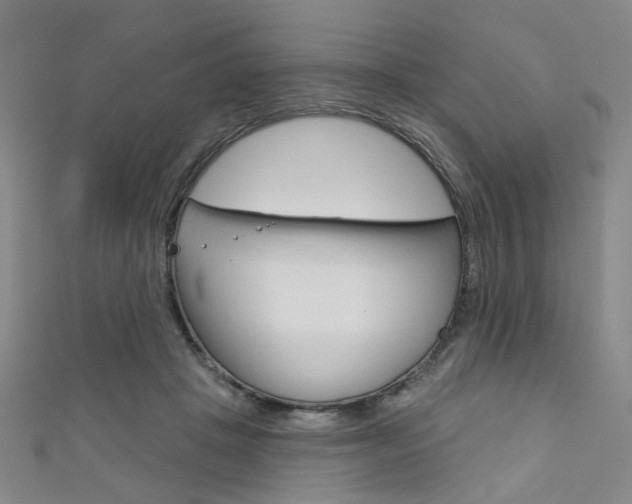 X0000111640457200907171042