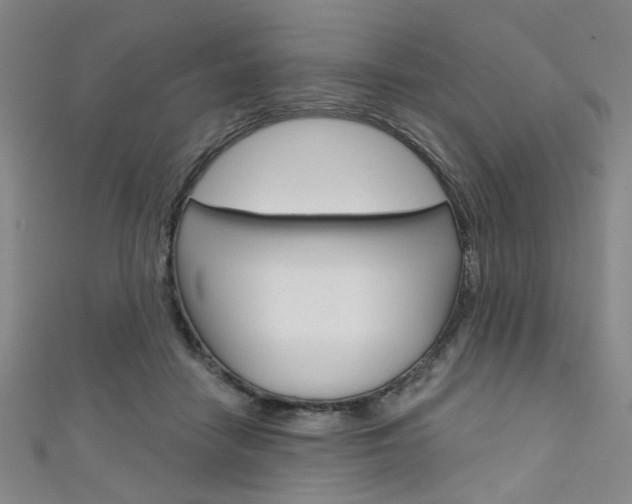X0000111640458200907171042
