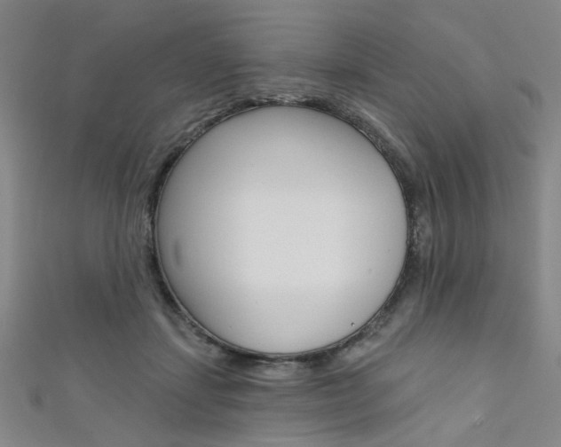 X0000111640459200907171042