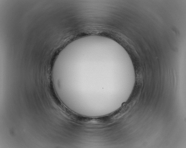 X0000111640460200907171042