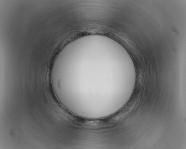 X0000111640461200907171042
