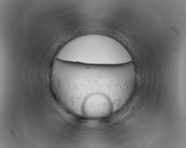X0000111640462200907171042