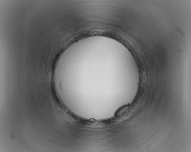 X0000111640463200907171042