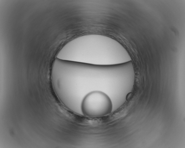 X0000111640466200907171042
