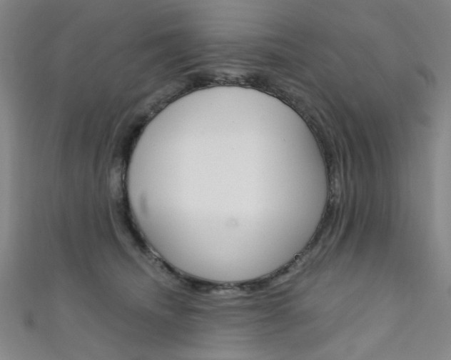 X0000111640468200907171042