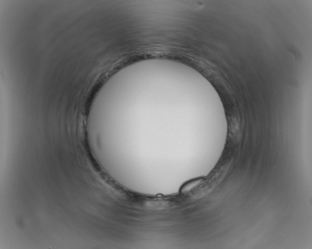 X0000111640470200907171042