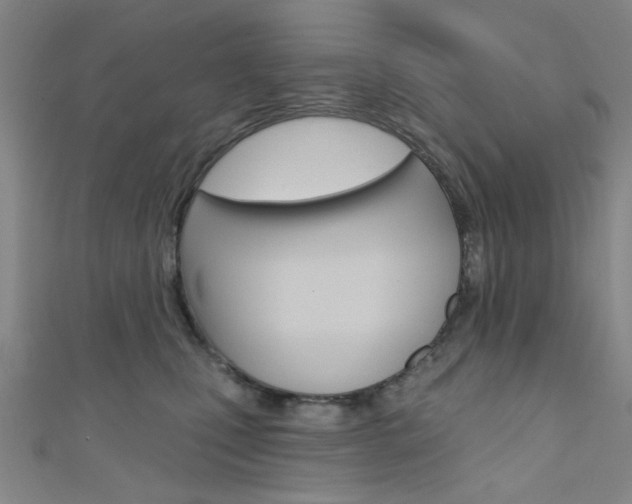 X0000111640471200907171042