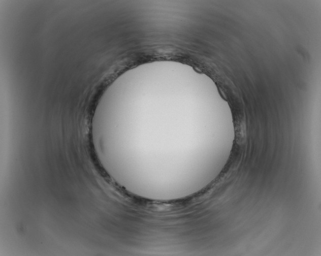 X0000111640472200907171042