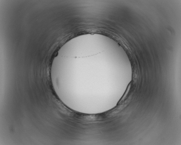 X0000111640473200907171042